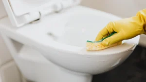 Bathroom Hygiene Priorities for Altrincham Residents