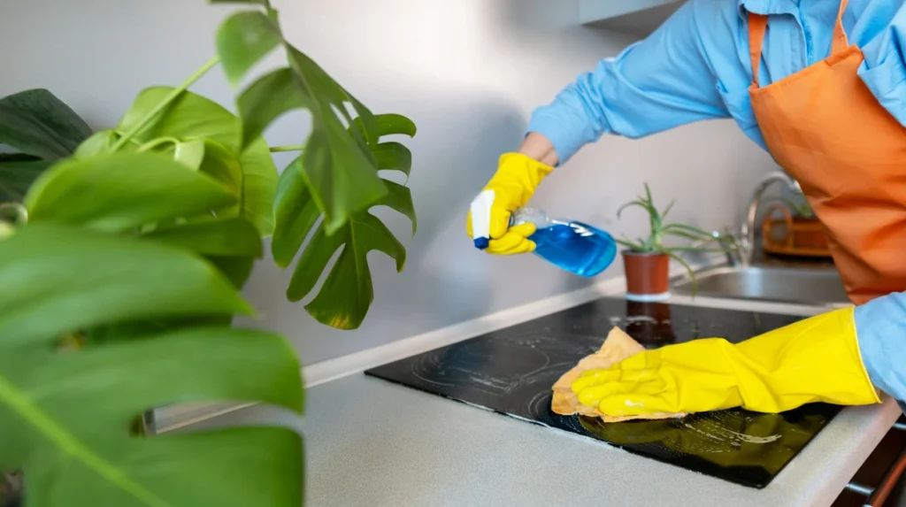 How to Clean Inside Kitchen Cabinets and Keep Them Organized