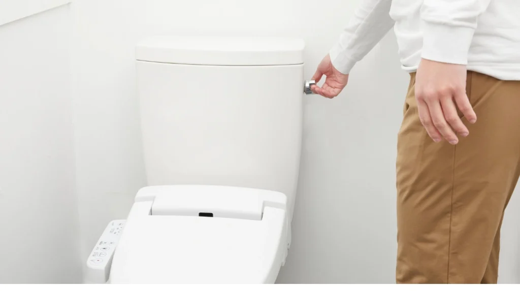 How to Clean a Toilet in a Residential Home