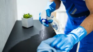 How Professional Cleaning Services Elevate Home Standards in Altrincham