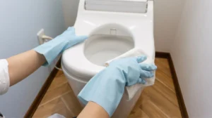 How to Clean a Toilet in a Residential Home