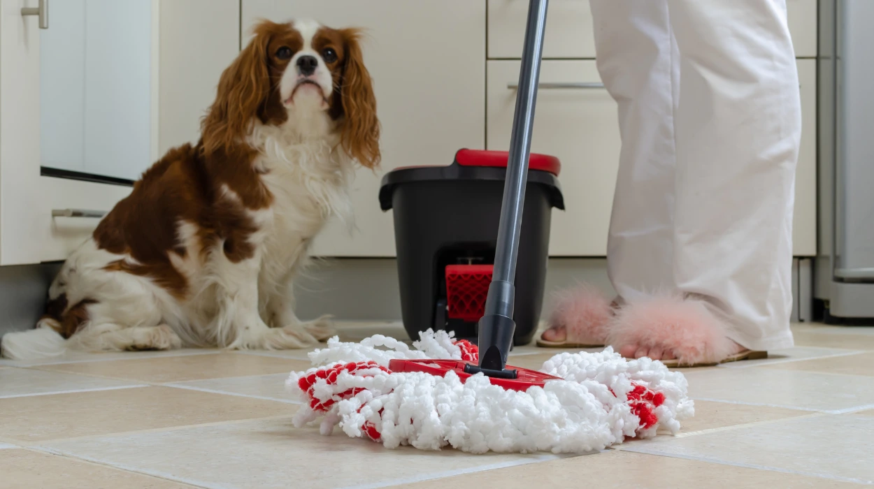 Pet-Friendly Cleaning Products & Tips That Actually Work