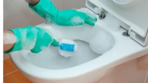 Step-by-Step Guide to Scrubbing Toilets and Cleaning Bathroom Sinks