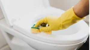 The Hidden Importance of Bathroom Disinfection in Farnworth Properties