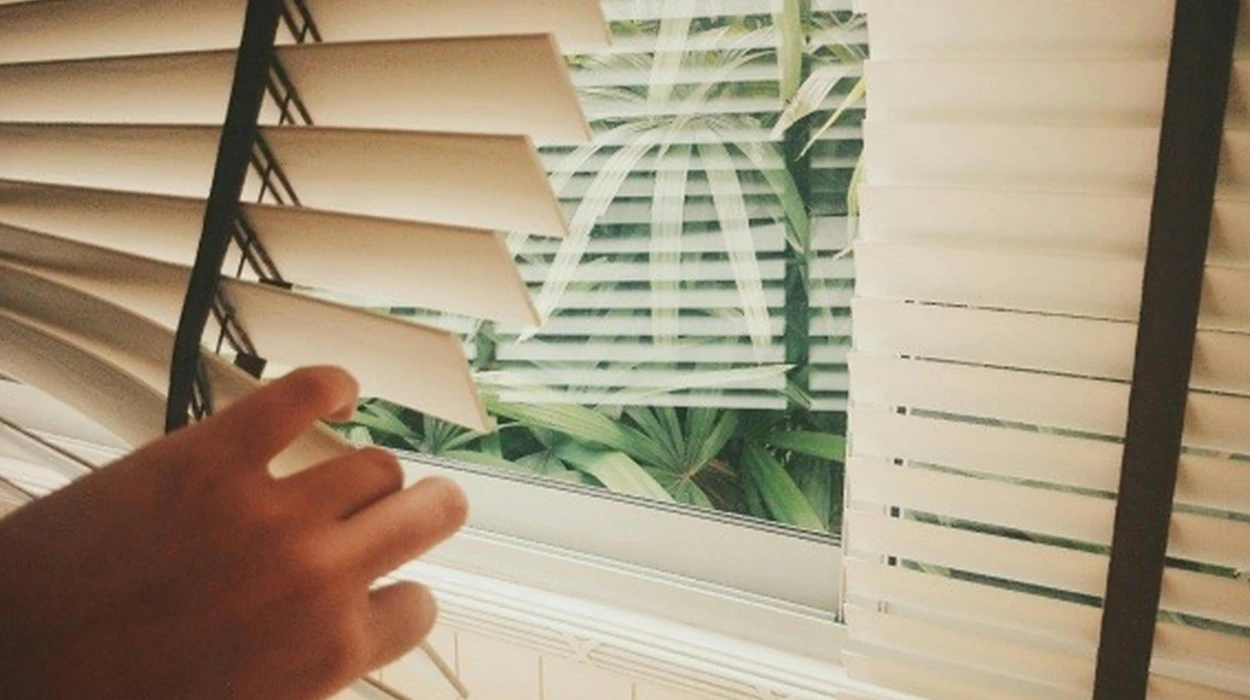 Why Window, Blind, and Carpet Treatments Matter in Westhoughton