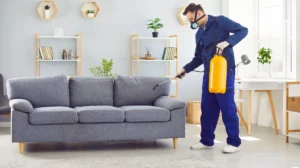 Bee Cleaning Services Manchester Eliminates Hidden Dirt and Germs During Deep Cleaning in Bolton