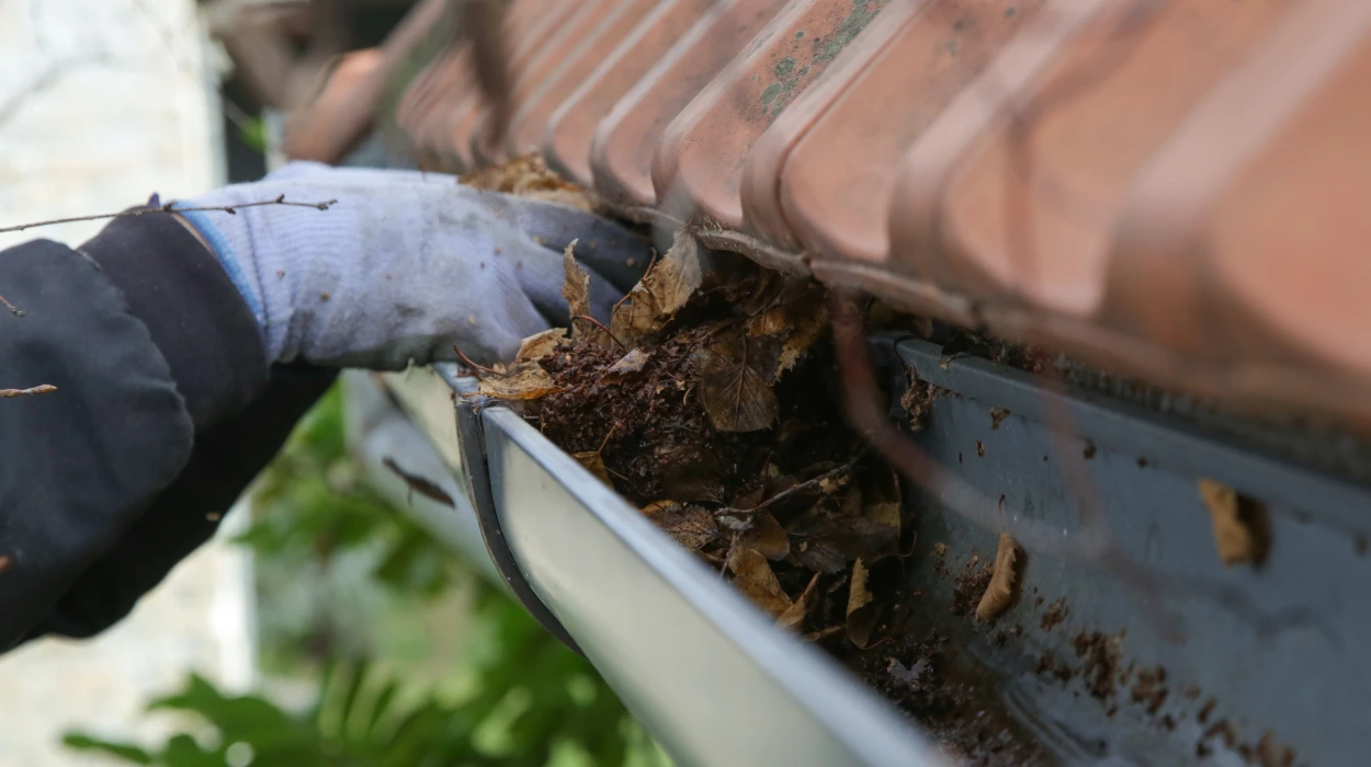 Bee Cleaning Services Manchester Prepares Bolton Homes Perfectly for End of Tenancy Inspections