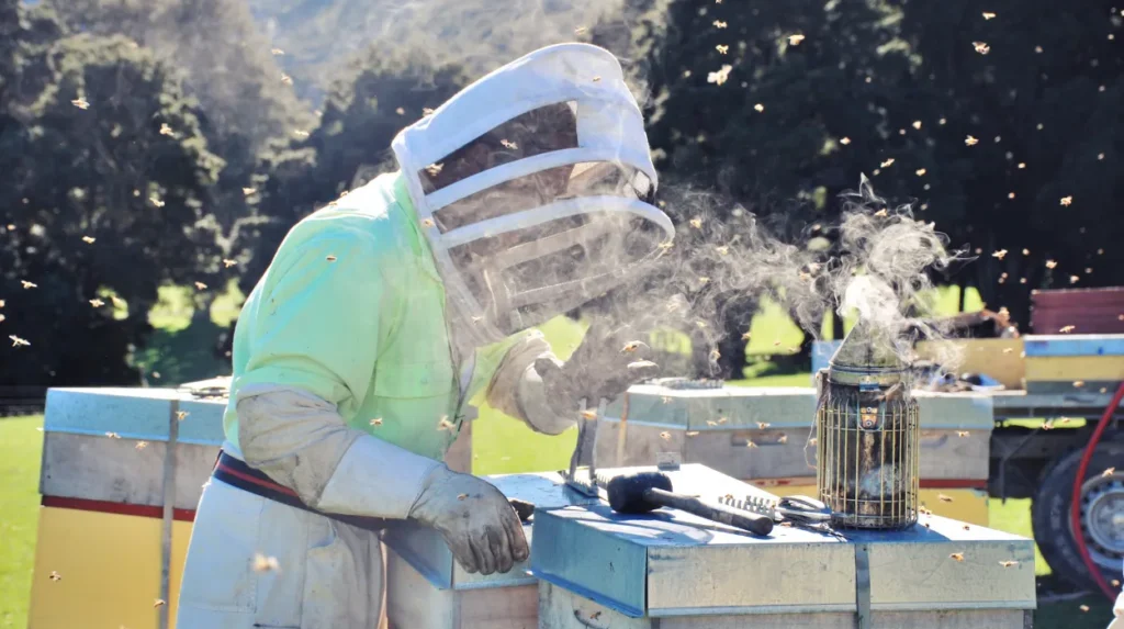 Builders Left Mess Behind? Bee Cleaning Services Manchester Solves Construction Cleaning Problems in Bury