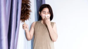 Say Goodbye to Dusty Curtains with Bee Cleaning Services Manchester in Bolton