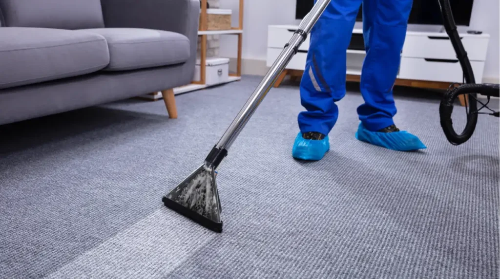 How often should Manchester households professionally clean carpets