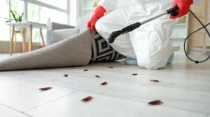 Stains and Sticky Floors After a Celebration Bee Cleaning Services Manchester Restores Bury Homes