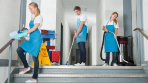 Transform Messy Homes with Bee Cleaning Services Manchester Deep Cleaning Solutions in Bolton