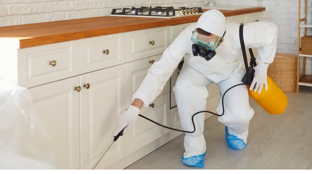 When Manchester households usually book one-off cleaning: A Simple Guide