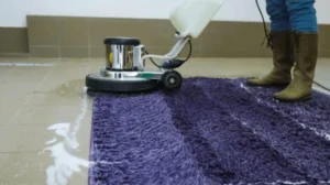 landlords focus on most regarding carpets in Altrincham