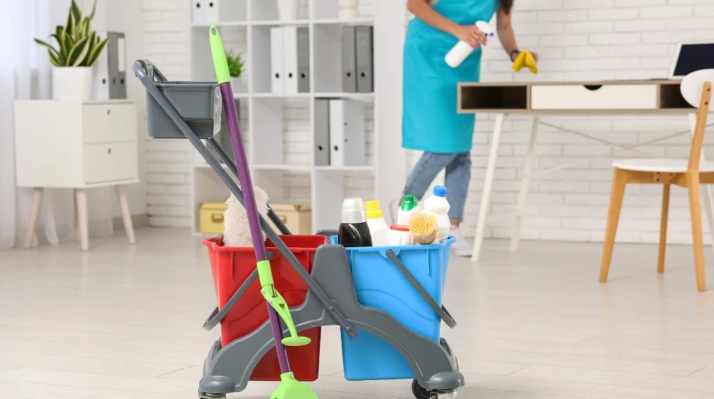 How DIY Steam Cleaning Can Permanently Damage Rental Carpets in Bolton