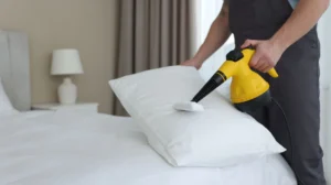 Bed Bugs Hiding in Seams Bee Cleaning Services Thermal Mattress Treatment in Cheadle