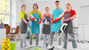 Cleaning Services Professional On-Site Curtain Care