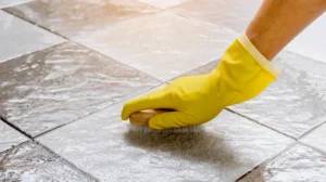 Damp Smells After Every Clean Bee Cleaning Services Odour Solutions for Cheadle Houses