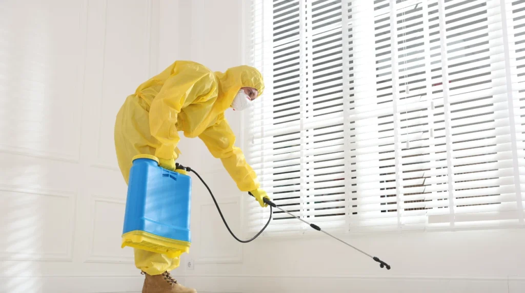 What to Look for When Hiring a office Cleaning Company in Oldham