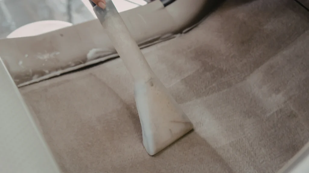 Furniture Ghost Marks on Carpets: Bee Cleaning Services End-of-Lease Carpet Restoration Cheadle