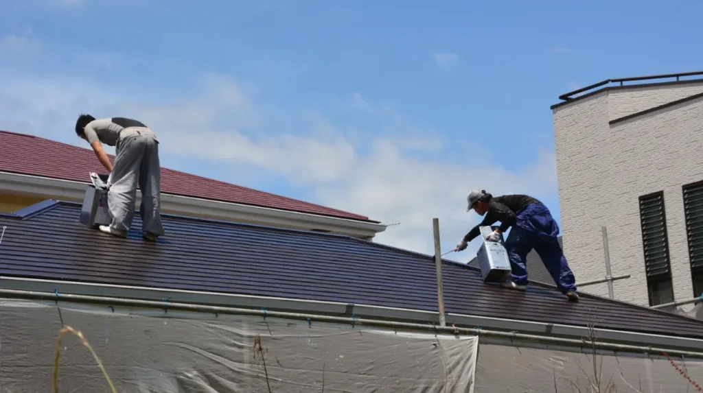 Conservatory Roofs Turning Green: Bee Cleaning Services Polycarbonate Roof Deep Cleaning Cheadle