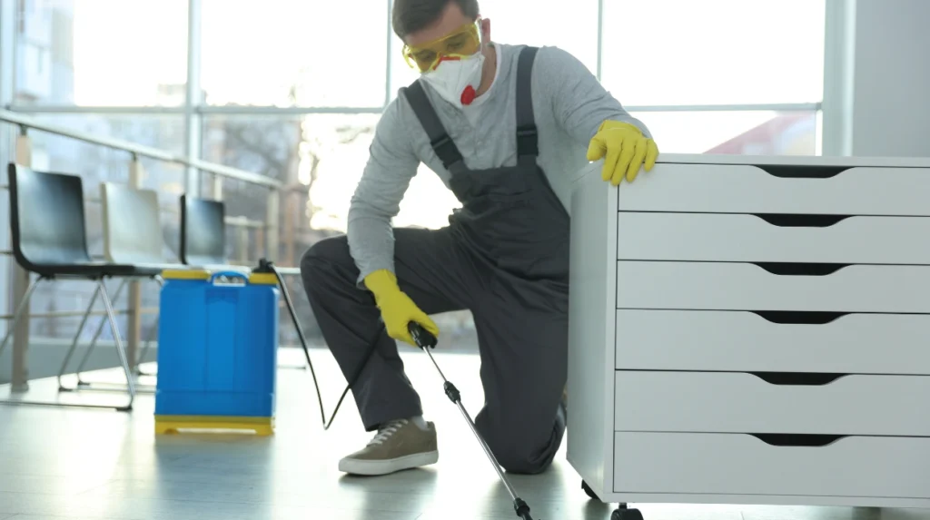 Dusty Offices Despite Weekly Visits Consistent Dust Control Services for Bury Offices