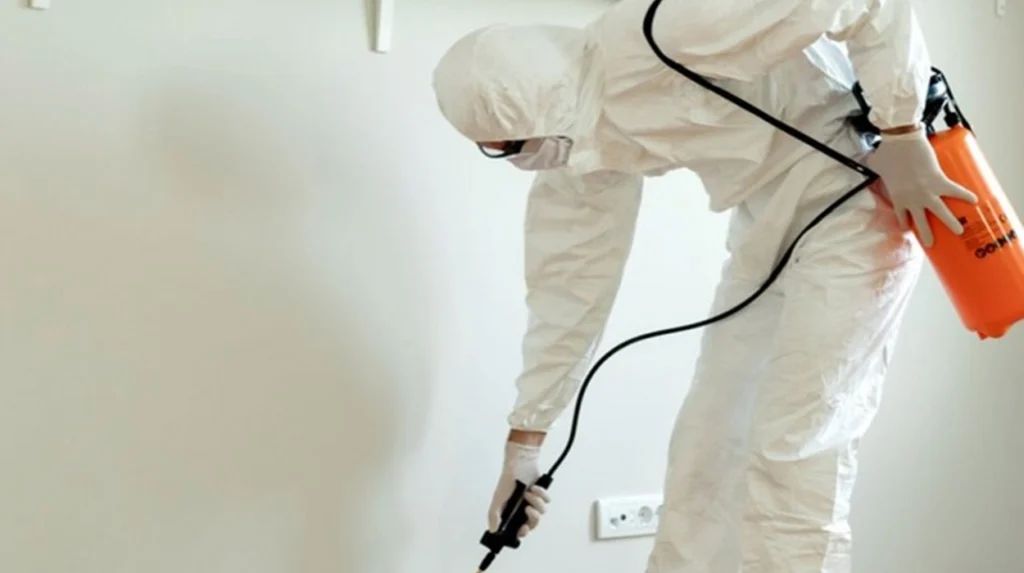 Hazy Windows Losing Bonds: Clear Glass Solutions in Bury