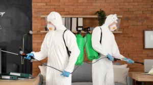 Leftover Germs Making Staff Sick Effective Sanitisation Preventing Illness in Bury Offices