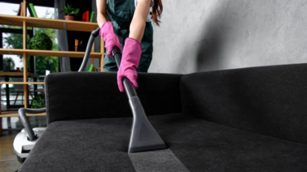 Pet and Spill Upholstery Cleaning Services in Bolton That Deliver Results