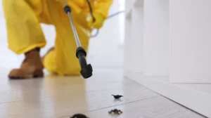 Norovirus Lingering on Cheadle Surfaces Bee Cleaning Services Hospital-Grade Sanitisation for Homes