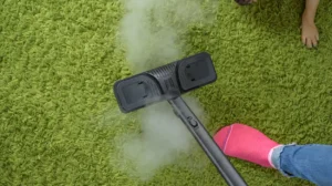 Pet Urine Crystals Recrystallising in Fibres Bee Cleaning Services Permanent Carpet Odour Removal