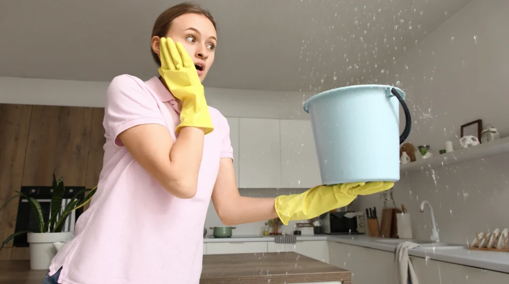 Damp Smells After Every Clean Bee Cleaning Services Odour Solutions for Cheadle Houses