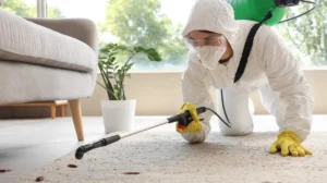 Supervisors Signing Off Uncleaned Areas Bee Cleaning Services Full Tenancy Standards in Cheadle