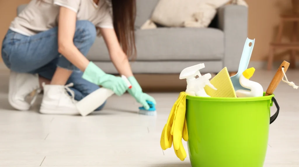 Regular Cleaners Missing Corners: Bee Cleaning Services Complete Coverage for Cheadle Homes