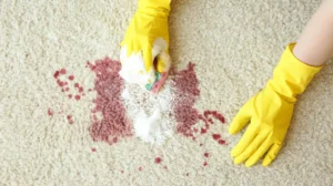 Vomit Stains Seeping Into Carpets Bee Cleaning Services Deep Party Mess Extraction for Cheadle