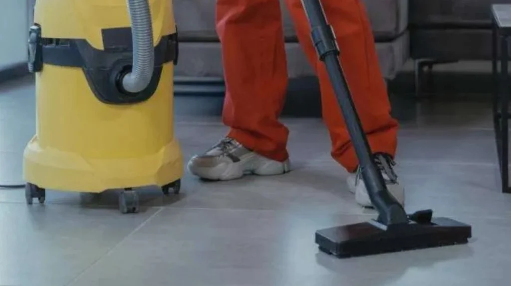 What Is the Difference Between Vacuuming and Professional Carpet Cleaning