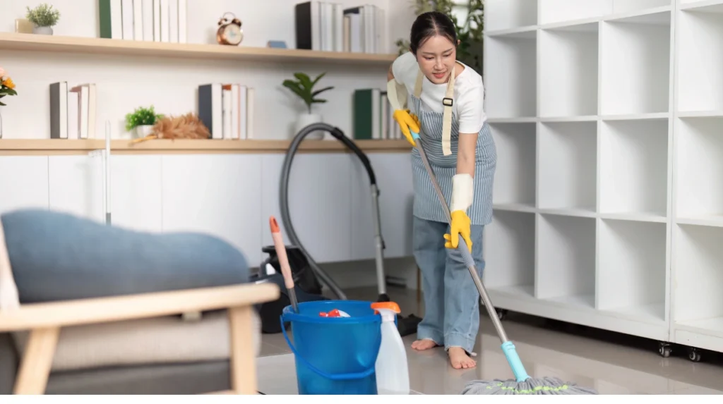 How Do Professional Domestic Cleaning Services Work