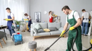 Professional Carpet Cleaning Powder Treatment in Oldham