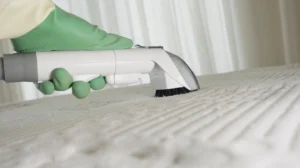 What to Expect From an Upholstery Cleaning Service in Oldham