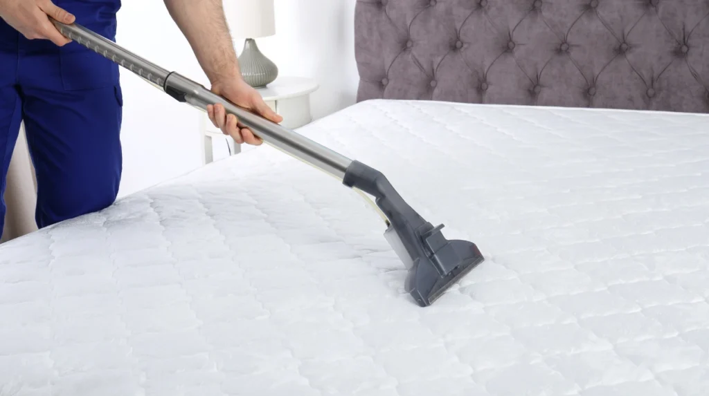 What Fabrics Can and Cannot Be Steam Cleaned