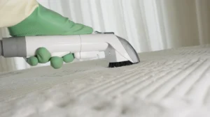 Upholstery Cleaning for Allergy Sufferers: What Do You Need to Know