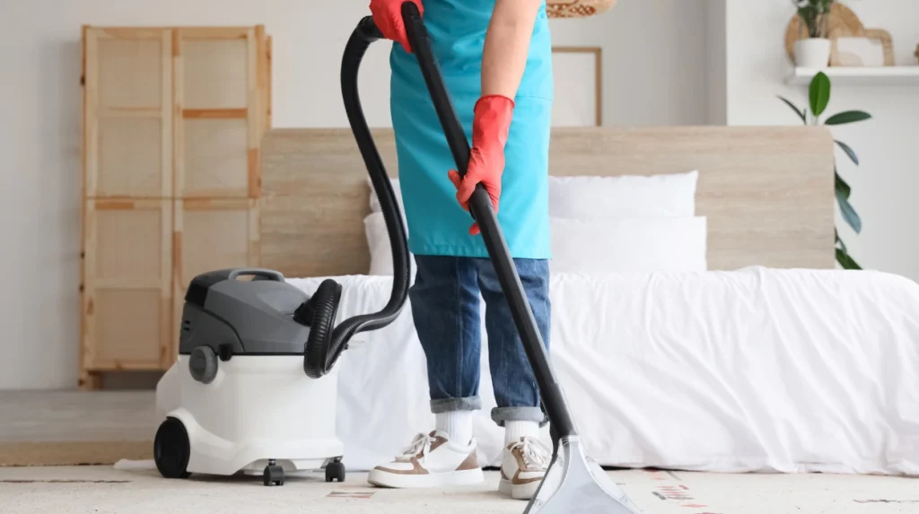 Carpet Cleaning Powder vs Steam Cleaning: What's the Difference