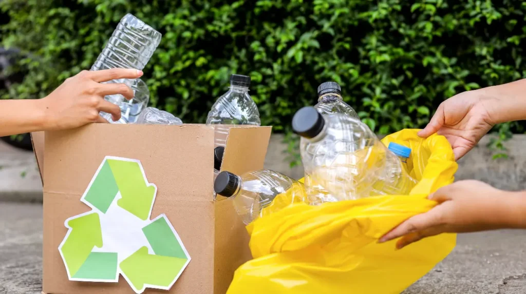 Eco-Friendly Office Cleaning Products: What Should You Ask Your Company?